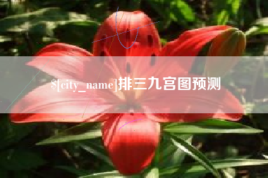 鞍山排三九宫图预测