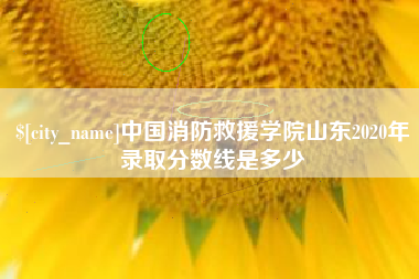 鞍山中国消防救援学院山东2020年录取分数线是多少