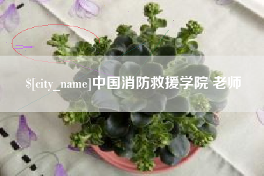 鞍山中国消防救援学院 老师