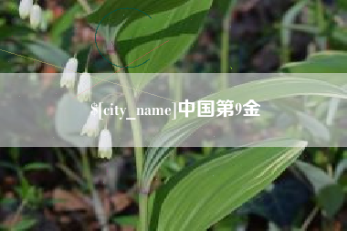 鞍山中国第9金