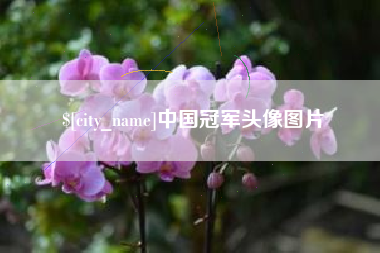 鞍山中国冠军头像图片