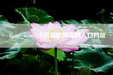 鞍山中国消防网官网入口网址