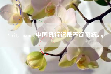 鞍山中国执行记录查询系统app