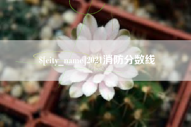 鞍山2021消防分数线