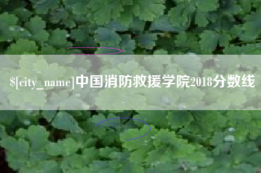 鞍山中国消防救援学院2018分数线
