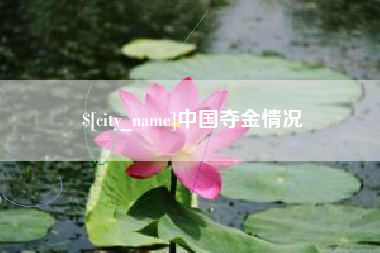 鞍山中国夺金情况