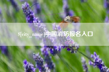 鞍山中国消防报名入口
