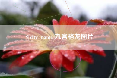 鞍山九宫格龙图片