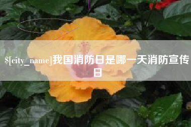 鞍山我国消防日是哪一天消防宣传日