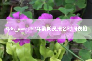 鞍山2025年消防员报名时间表格