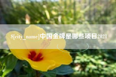 鞍山中国金牌是哪些项目2021