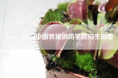 鞍山中国救援消防学院招生简章