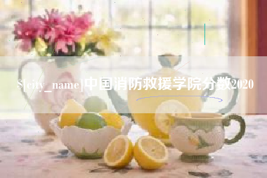 鞍山中国消防救援学院分数2020