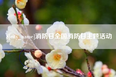 鞍山消防日全国消防日主题活动