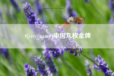 鞍山中国九枚金牌