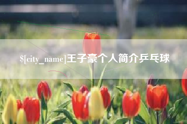鞍山王子豪个人简介乒乓球