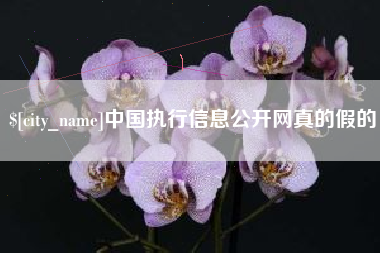 鞍山中国执行信息公开网真的假的