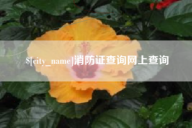 鞍山消防证查询网上查询