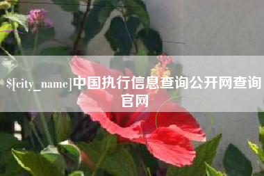 鞍山中国执行信息查询公开网查询官网