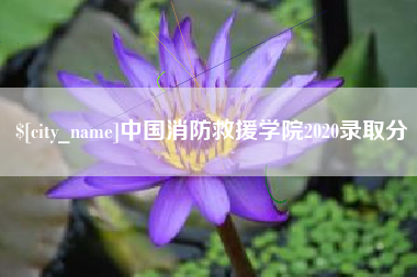 鞍山中国消防救援学院2020录取分