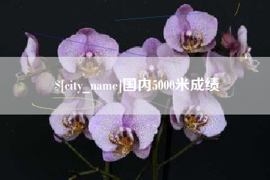 鞍山国内5000米成绩