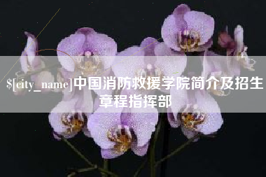 鞍山中国消防救援学院简介及招生章程指挥部