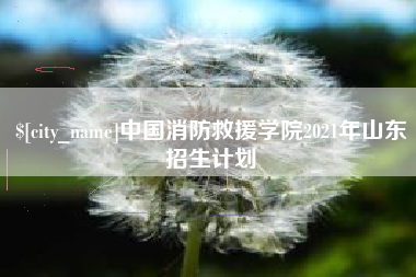 鞍山中国消防救援学院2021年山东招生计划