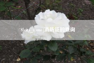 鞍山消防证的查询