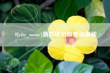 鞍山消防证初级查询系统