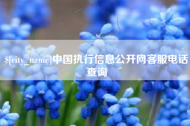 鞍山中国执行信息公开网客服电话查询