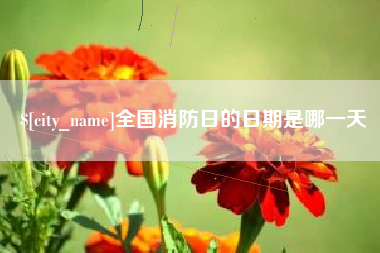 鞍山全国消防日的日期是哪一天