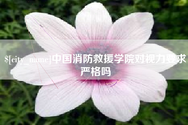 鞍山中国消防救援学院对视力要求严格吗