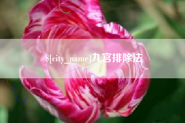 鞍山九宫排除法