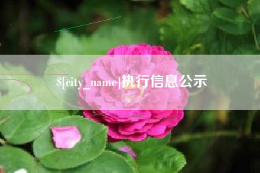 鞍山执行信息公示