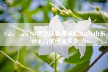 鞍山中国消防救援学院2021年山东录取分数线是多少