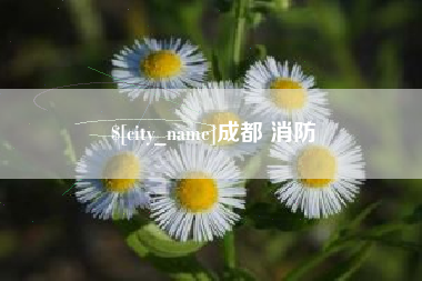 鞍山成都 消防