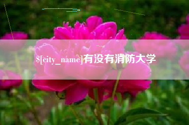 鞍山有没有消防大学