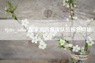 鞍山国家消防救援队伍报名网址