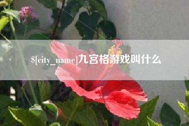 鞍山九宫格游戏叫什么