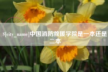 鞍山中国消防救援学院是一本还是二本