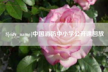 鞍山中国消防中小学公开课回放