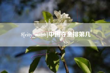 鞍山中国夺金排第几