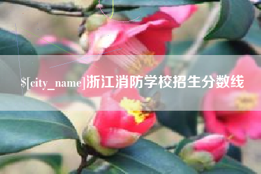鞍山浙江消防学校招生分数线