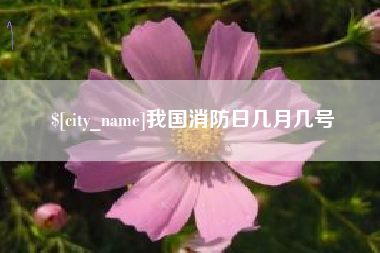 鞍山我国消防日几月几号