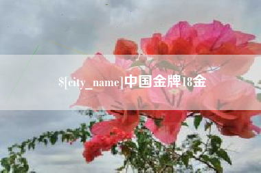鞍山中国金牌18金