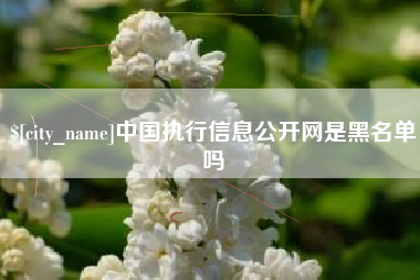 鞍山中国执行信息公开网是黑名单吗