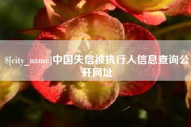 鞍山中国失信被执行人信息查询公开网址