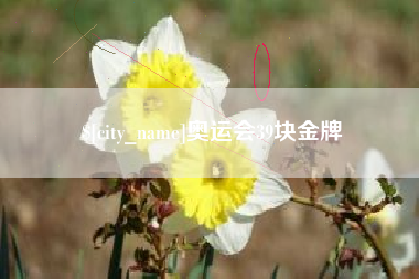 鞍山奥运会39块金牌