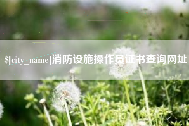 鞍山消防设施操作员证书查询网址