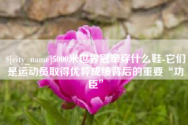 鞍山5000米世界冠军穿什么鞋-它们是运动员取得优异成绩背后的重要“功臣”